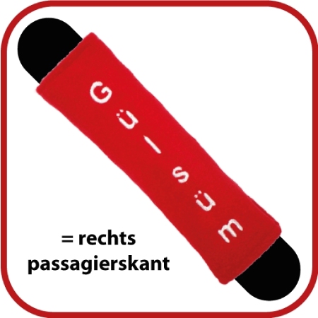 Autogordelhoes kinderen in hippe kleur zwart