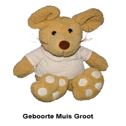 Geboorte beer meisje naam en geboortedatum